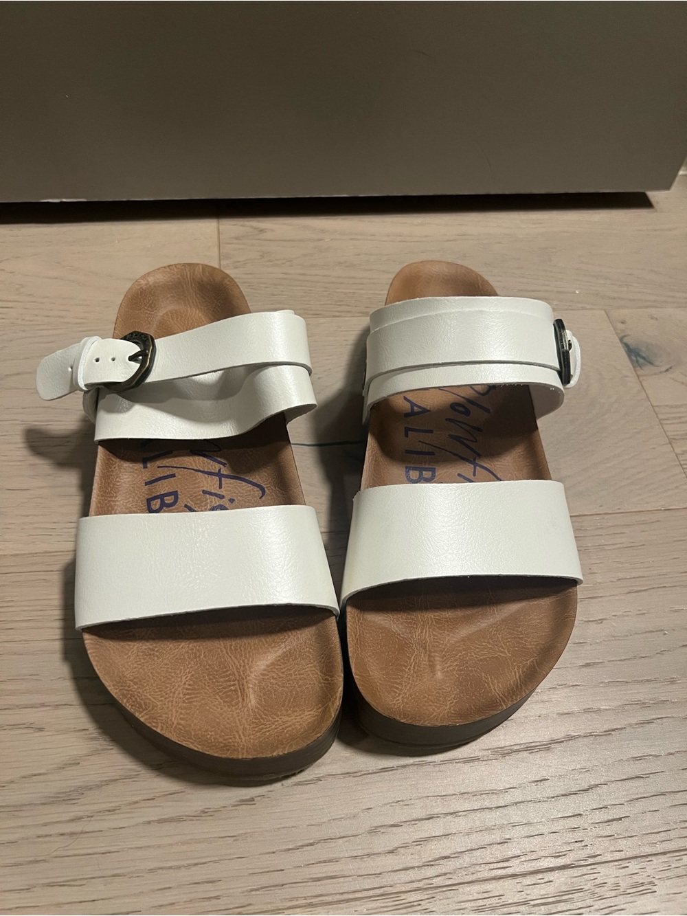 White Double-Band Slide Sandals with Buckle